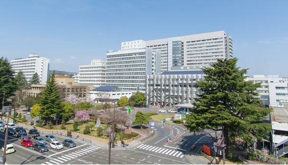 Z_Tohoku Univ